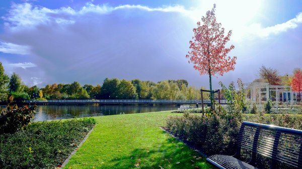 Gartenblog: nachhaltige gestaltung für ein blühendes leben